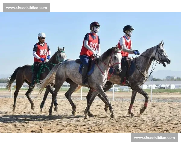 巅峰对决！国内顶级马术赛在邯郸激情开赛