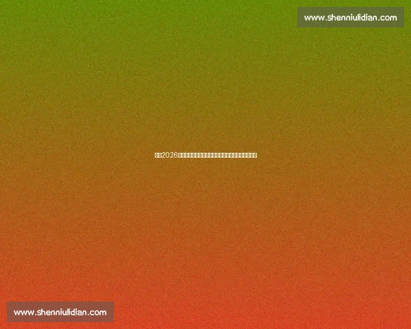 聚焦2026世界杯预选赛完整赛程与关键时间节点解析全面前瞻