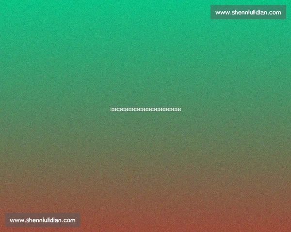 以都灵为中心探寻尤文图斯百年荣耀与城市足球文化历史传承脉络