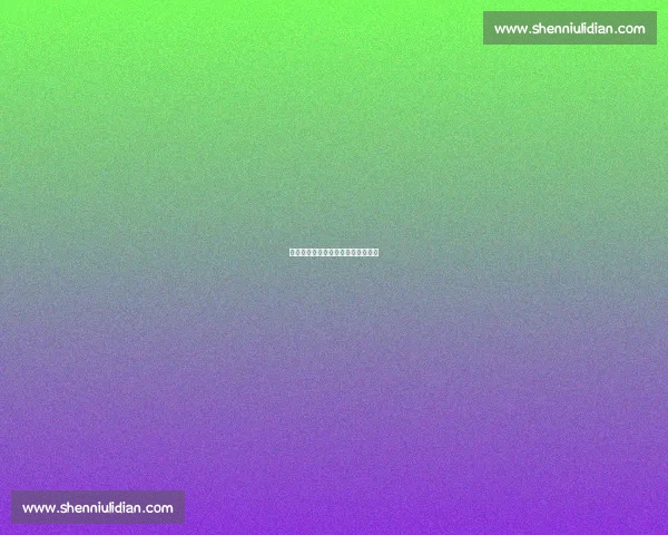 邯郸太极：从轮椅到国韵的多维突破