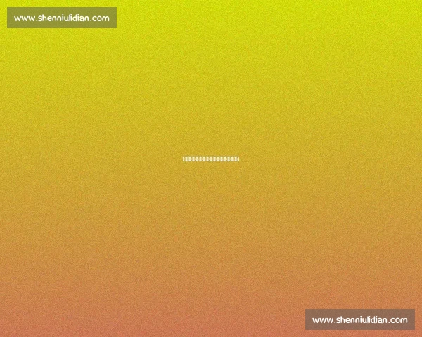 雨幕中的泳者：拥抱自然的清凉仪式