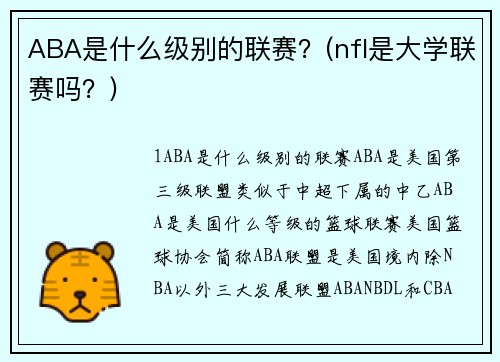 ABA是什么级别的联赛？(nfl是大学联赛吗？)